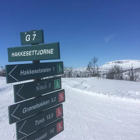 Ustedalen