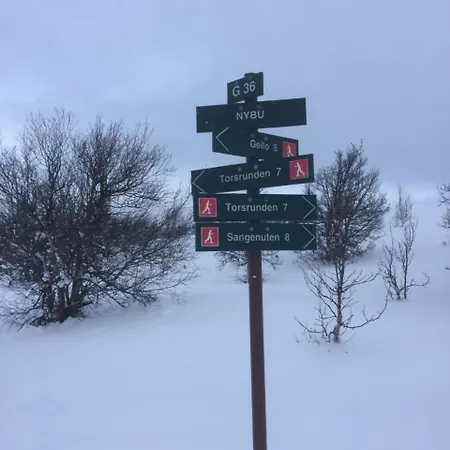 Ustedalsfjorden * Geilo
