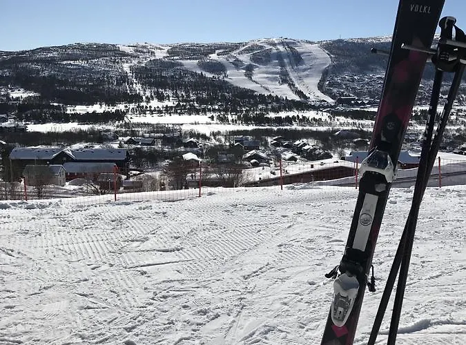 Ustedalen アパート