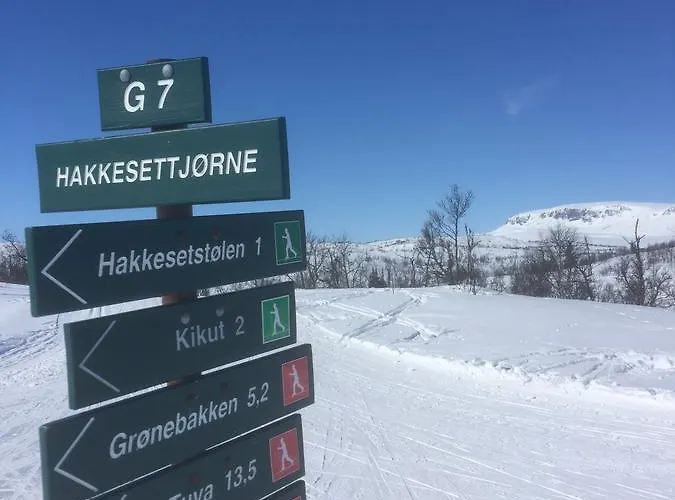 Ustedalen