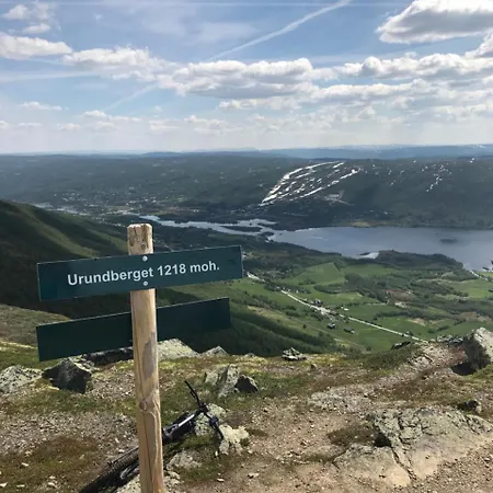 Ustedalen شقة يالو