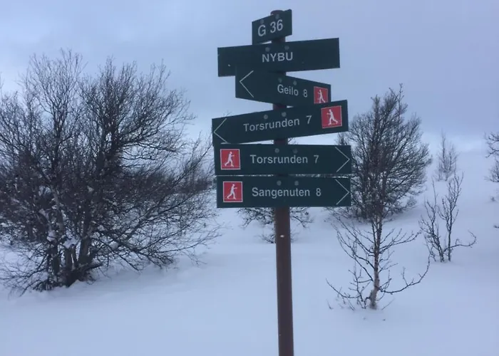 Ustedalen * Geilo